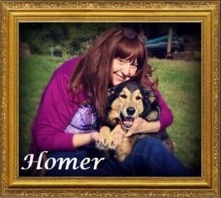 Homer. 1999-2015